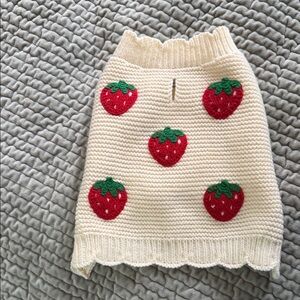 Strawberry DOG SWEATER!! 🍓🍓